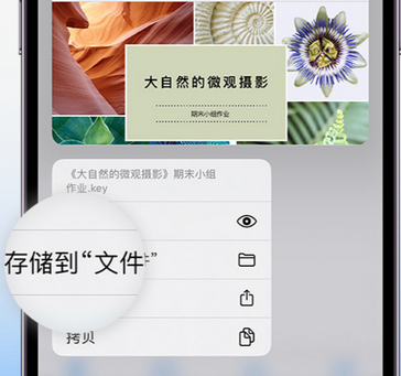 黑龙江apple维修中心分享iPhone文件应用中存储和找到下载文件