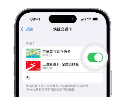 黑龙江apple维修点分享iPhone上更换Apple Pay快捷交通卡手绘卡面 