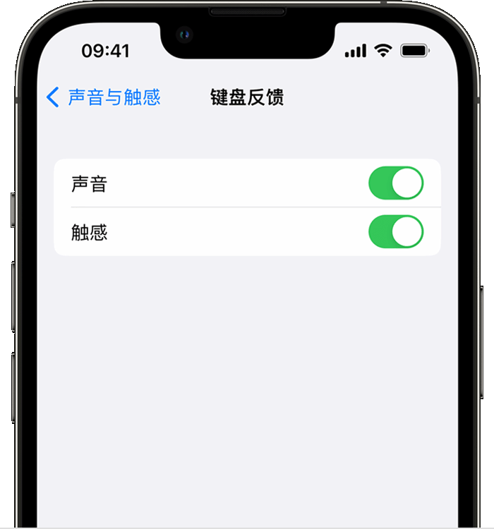 黑龙江苹果14维修店分享如何在 iPhone 14 机型中使用触感键盘 