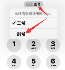 黑龙江苹果14维修店分享iPhone 14 Pro Max使用副卡打电话的方法 