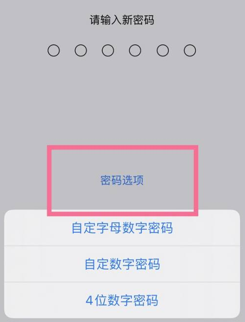 黑龙江苹果14维修分享iPhone 14plus设置密码的方法 