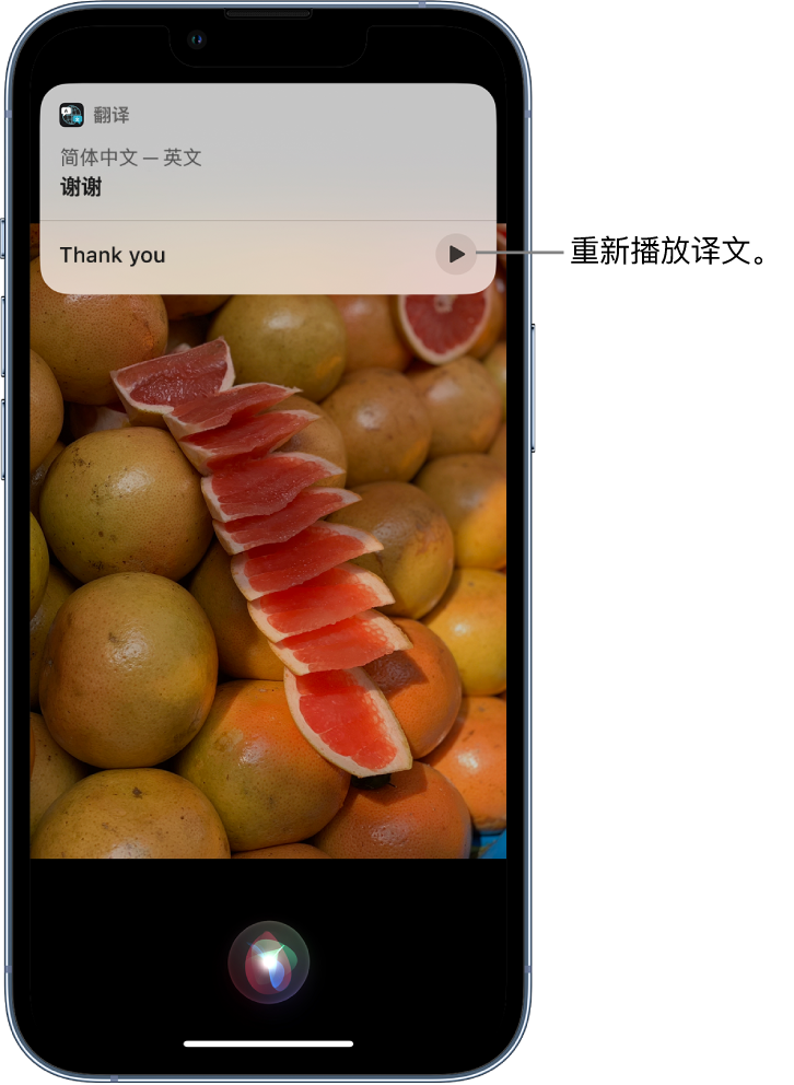 黑龙江苹果14维修分享 iPhone 14 机型中使用 Siri：了解 Siri 能帮你做什么 