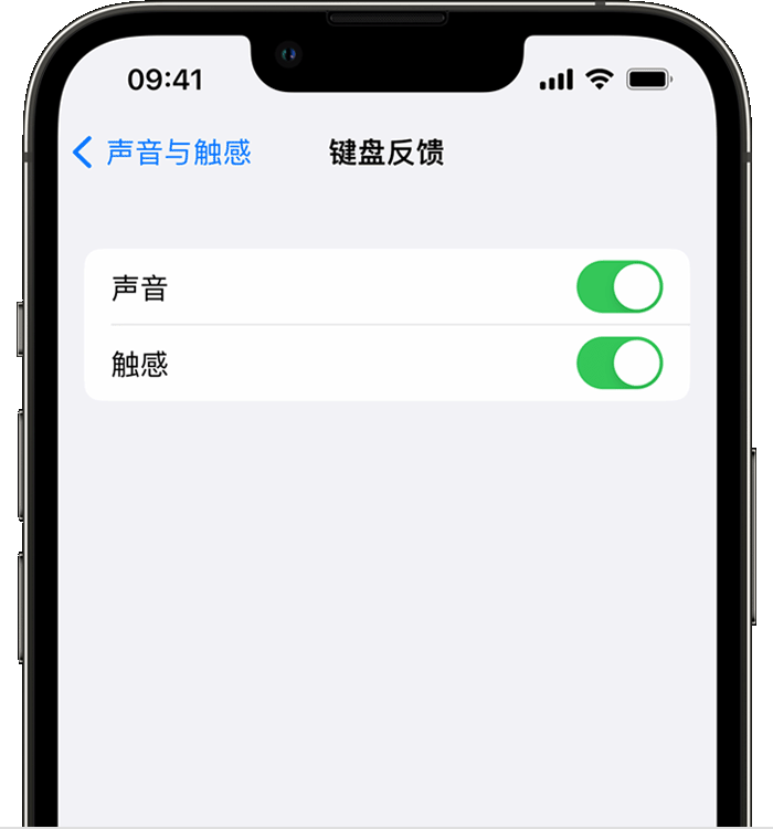 黑龙江苹果14维修分享iPhone 14 系列机型如何开启键盘声音或触感反馈 