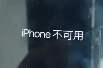 黑龙江苹果服务网点分享锁屏界面显示“iPhone 不可用”如何解决 