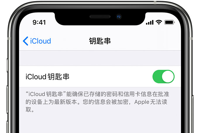 黑龙江苹果手机维修分享在 iPhone 上开启 iCloud 钥匙串之后会储存哪些信息 