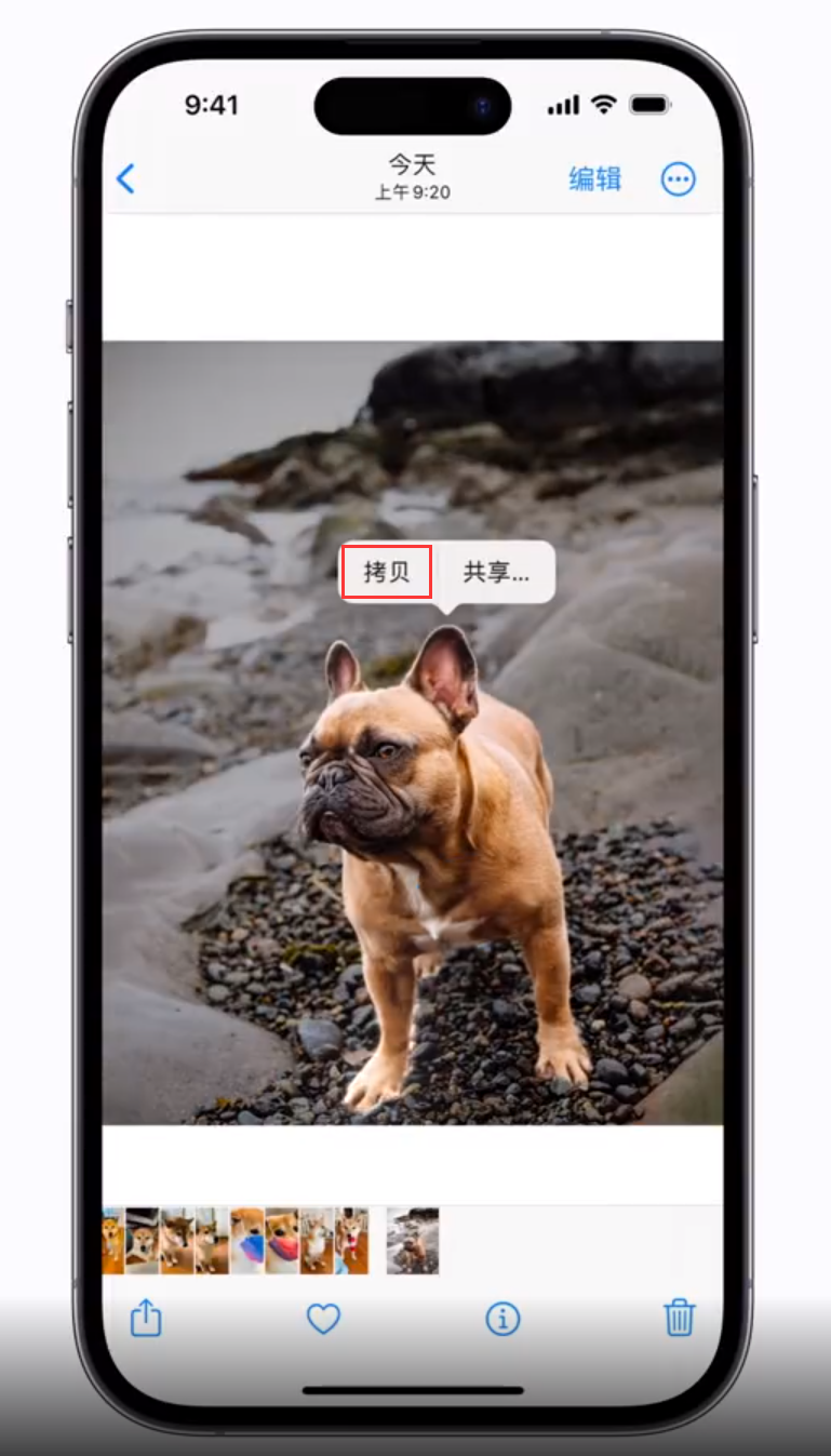 黑龙江苹果手机维修分享 iOS 16 自带一键抠图功能 