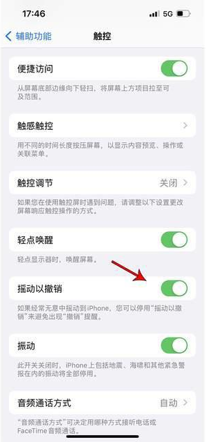 黑龙江苹果手机维修分享iPhone手机如何设置摇一摇删除文字 