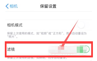 黑龙江苹果13维修分享iPhone13拍照有绿点是怎么回事 