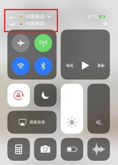 黑龙江苹果手机维修分享为 iPhone 12 双卡设置标签 