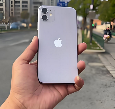 黑龙江苹果11系统维修分享iPhone11手机系统崩溃无法开机如何解决